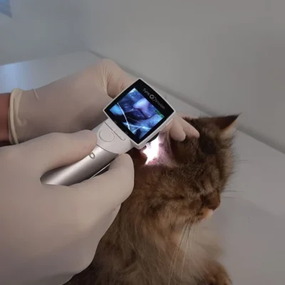 Otoscópio Digital SyncVision VET MD - Imagem 4